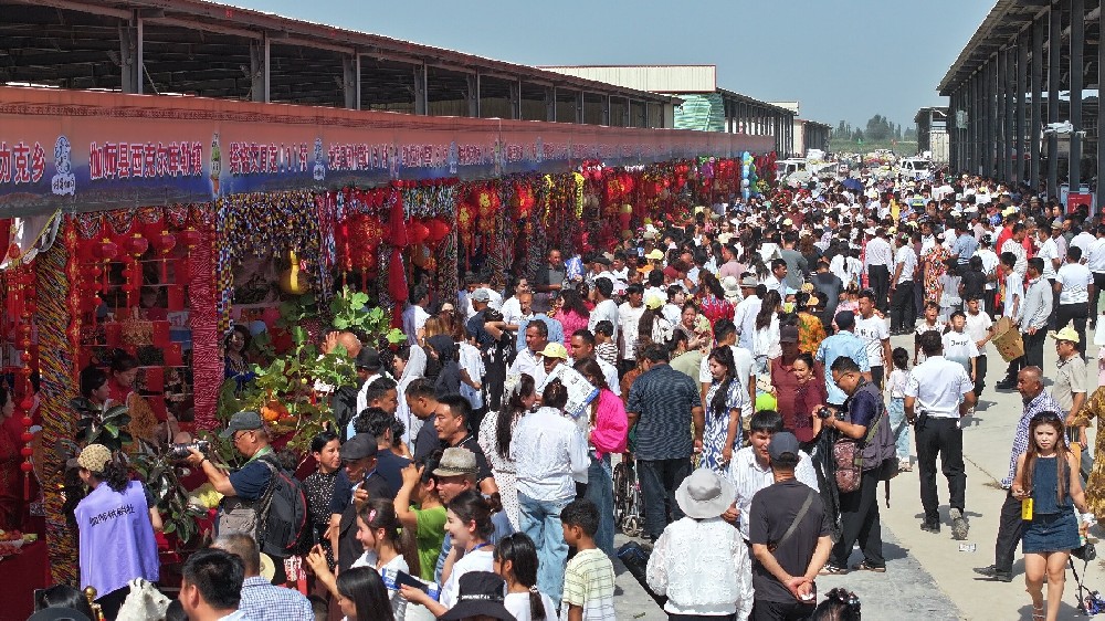 “粤疆同心·瓜香伽师”2026年伽师瓜丰收季文旅宣传推介活动火热启幕